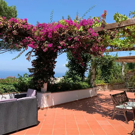 Konukevi Casa Blu