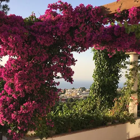 Affittacamere Casa Blu 3*