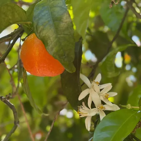 Casa Blu Affittacamere 3*