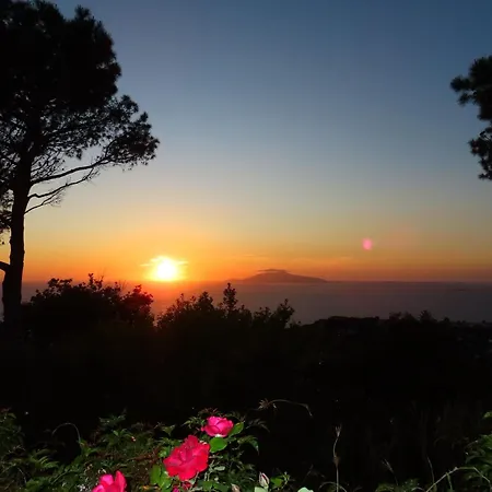 Casa Blu Affittacamere Anacapri (Isola di Capri)