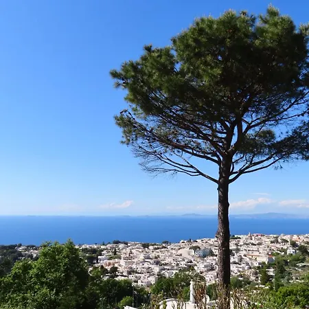 Vendégház Casa Blu Anacapri