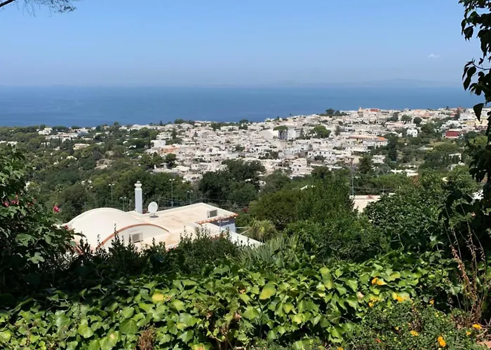 Guest house Casa Blu 3*